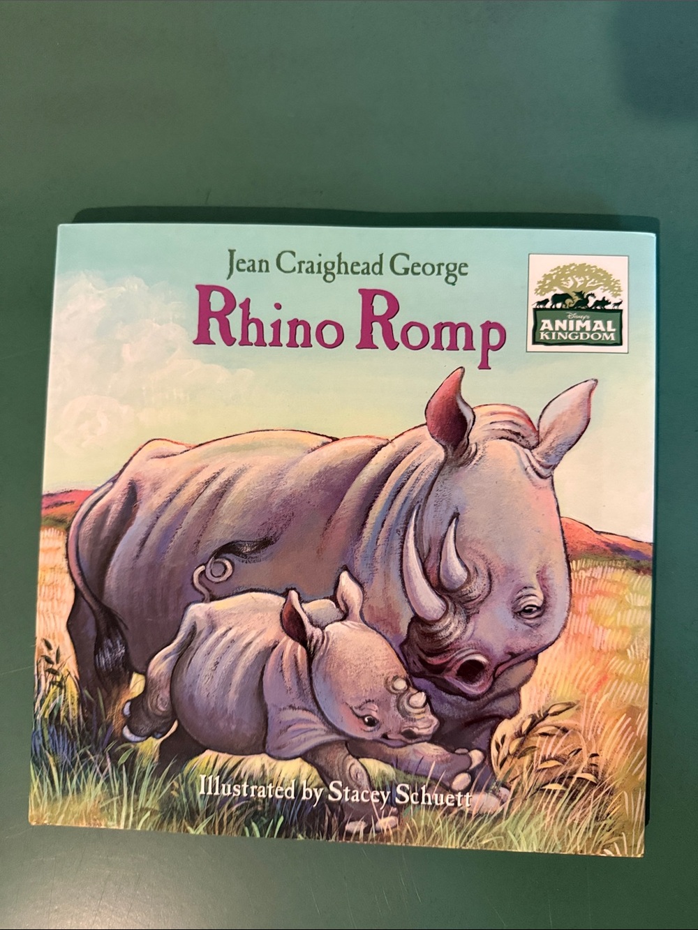 First Edition Rhino Romp Disney Book
